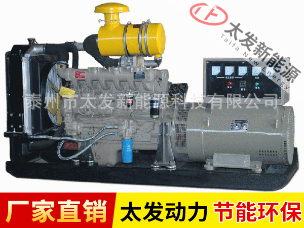 濰柴柴油發(fā)電機(jī)